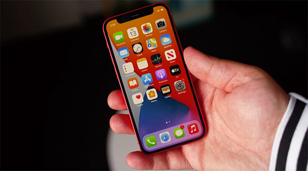iPhone 12 Mini chiếm hữu screen OLED